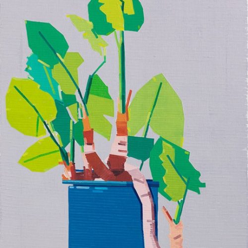 Guy Yanai