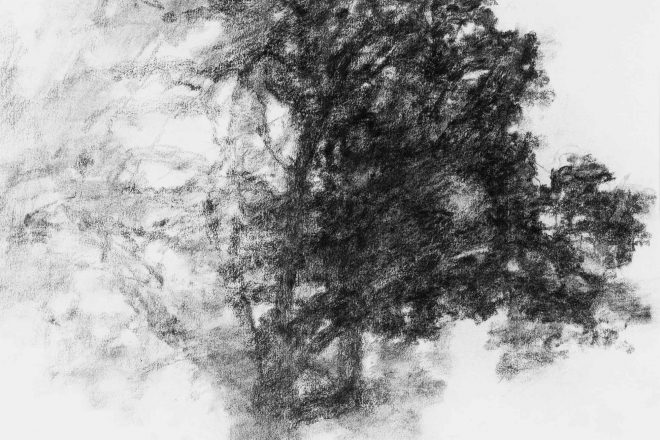 Dessin signé Alexandre Hollan, 2016