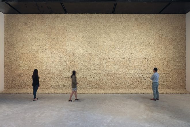 « Moss wall », Olafur Eliasson, 1994