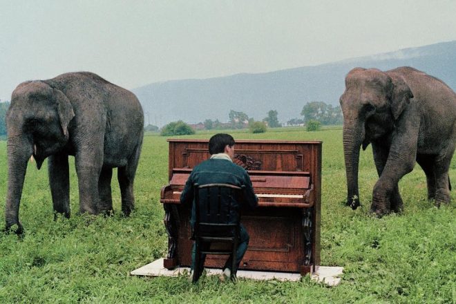 « Le Louvre est mon atelier, la rue est mon musée » (arrêt sur image vidéo), film documentaire sur Braco Dimitrijević tourné en 2008