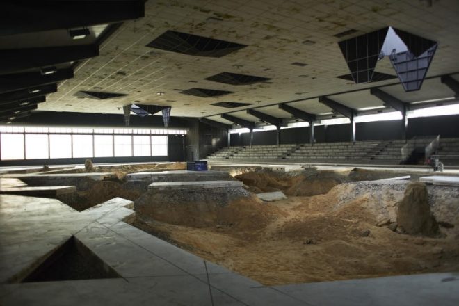 « After A Life Ahead », Pierre Huyghe, 2017