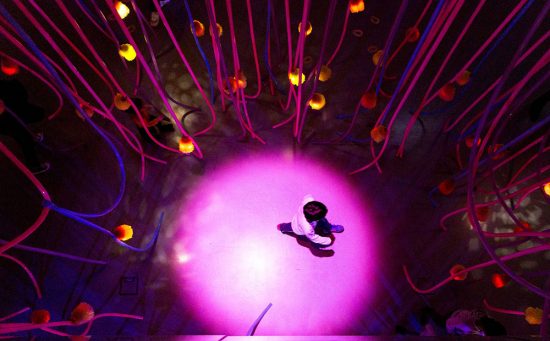 « Sonic Jungle », Florian Dussopt