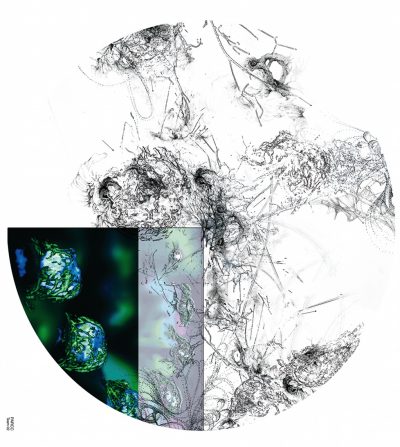 « Micro-poétique », équipe 2, Iglika Christova