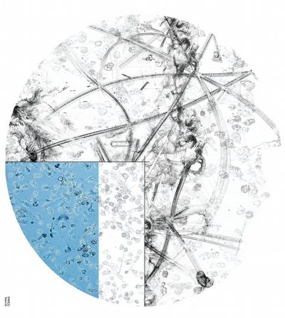 « Micro-poétique », équipe 5, Iglika Christova