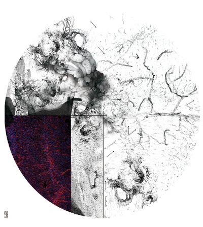 « Micro-poétique », équipe 12, Iglika Christova