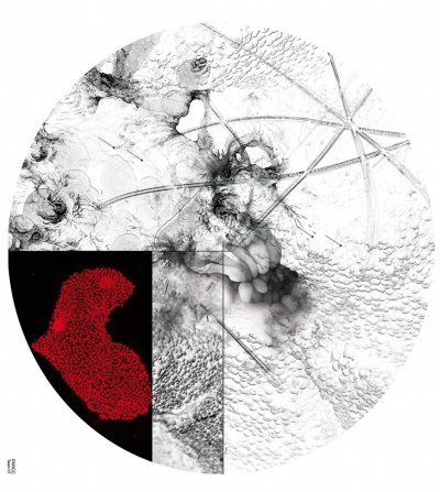 « Micro-poétique », équipe 7, Iglika Christova
