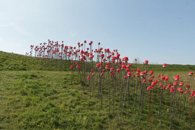 « Ce qu’il reste, des champs de ruine naîtront des champs de coquelicots », Steve Abraham et Nicolas Messager, 2019