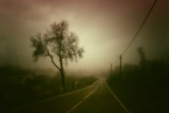 Céline Domas ou la beauté sensible du clair-obscur