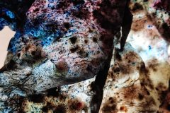 L’art et la matière : faire, défaire et laisser faire