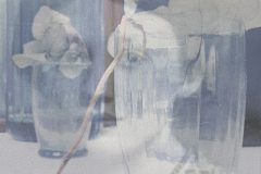 Barbara Sabaté Montoriol, la mémoire des choses